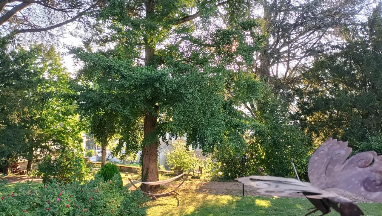 Bed & Breakfast Chateau D'arfeuilles Et Tables D'hotes *